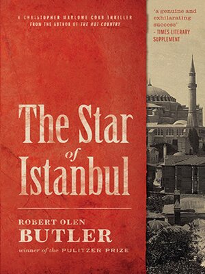 cover image of The Star of Istanbul
